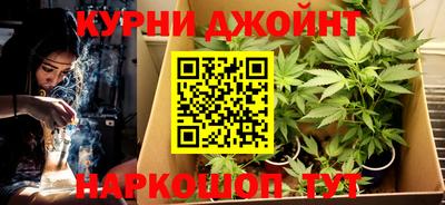 гашик Балашиха
