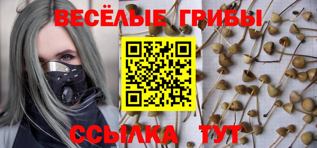 Псилоцибиновые грибы Cubensis Десногорск