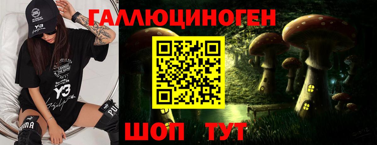 Десногорск  Псилоцибиновые грибы ЛСД  Галлюциногенные грибы мухоморы  Вход с VPN 